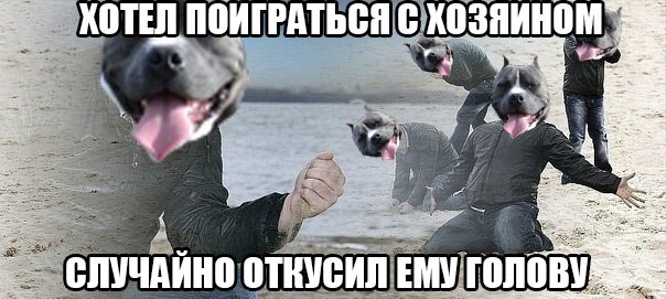 Девчонка и сабаченка