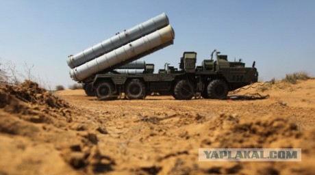 Трусливое быдло-подхалим