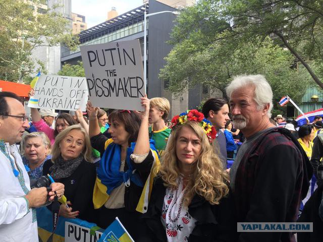 Жители Нью-Йорка вышли поддержать Владимира Путина