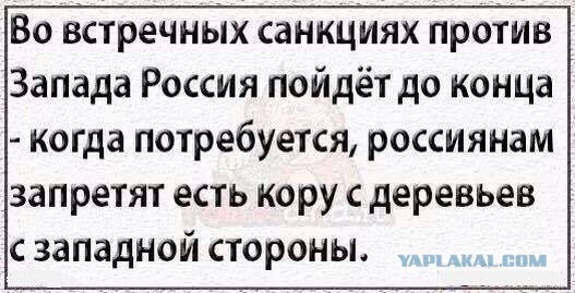 В Госдуме РФ предлагают ввести санкции