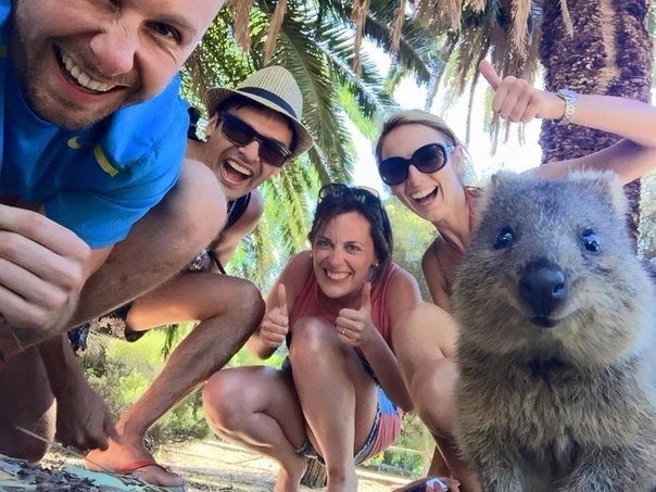 Прикольные картинки