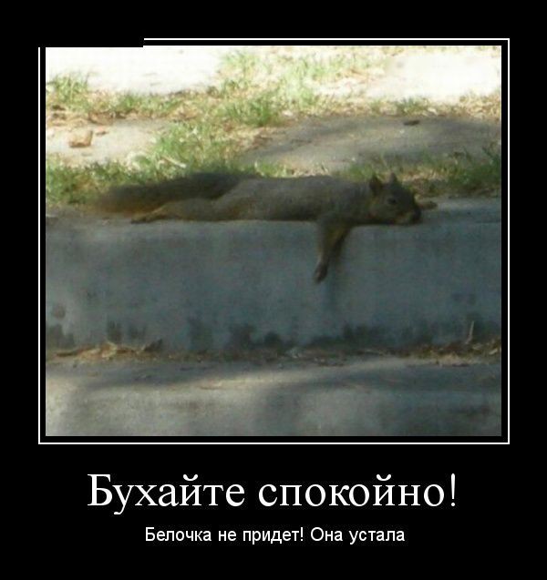 Как выглядит белая горячка со стороны