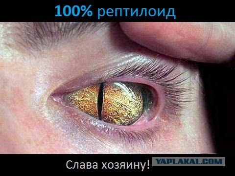 Тест: Вы воспринимаете этот мир глазами мужчины или женщины?