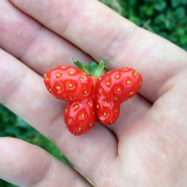 Забавные картинки из сети