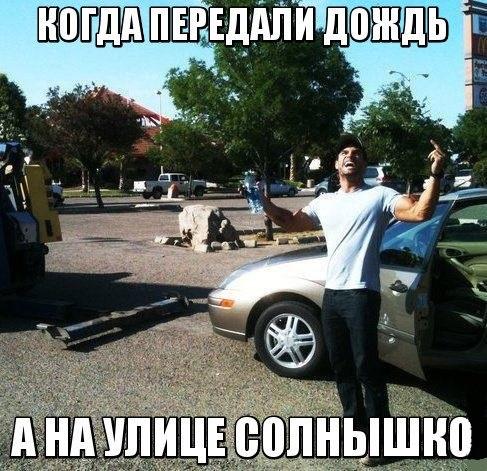 Небольшой микс картинок и гифок .