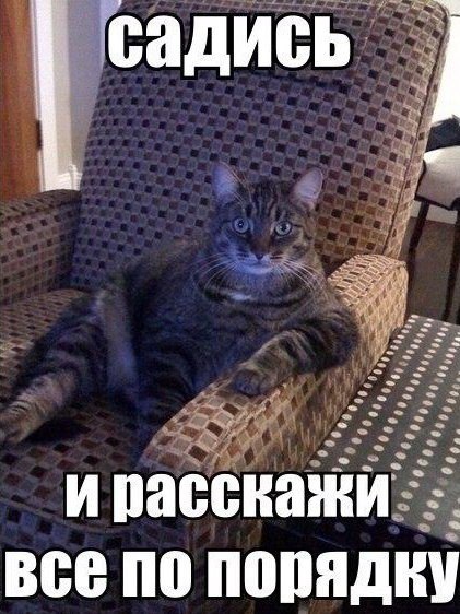 Божьи твари