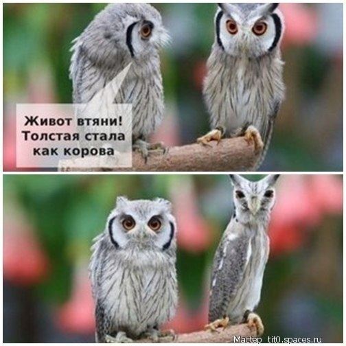 Подборка приколов