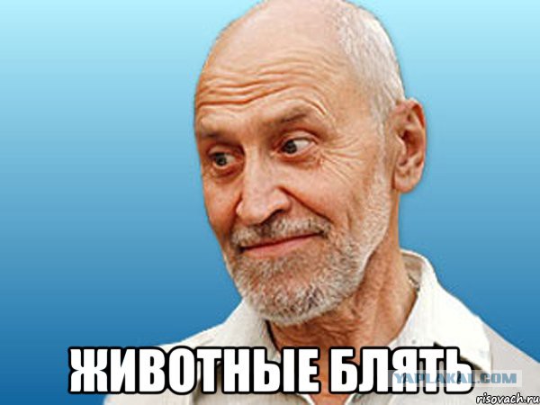 Первокурсников истфака КемГУ раздели на посвящении в студенты