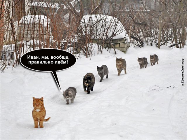 Юмор не для всех