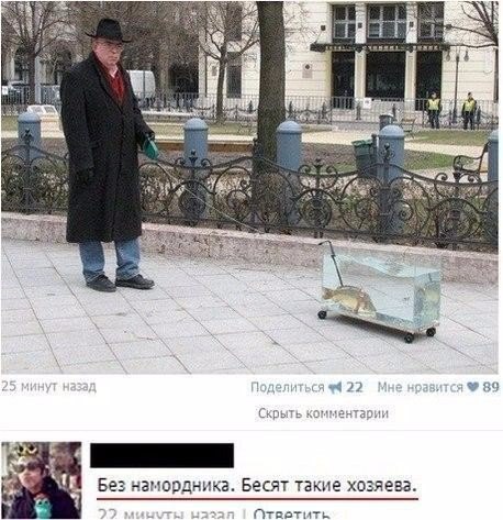 Всякие разные картинки из интернета