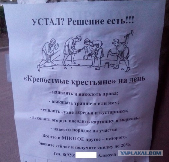 Смешные картинки из сети на 21.10.16