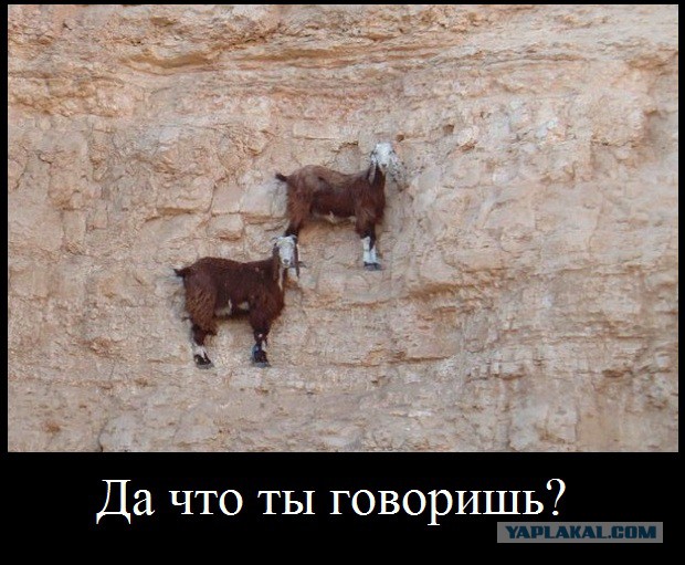 Горный Алтай. Сентябрь
