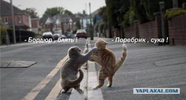 "Зелёная шляпа"