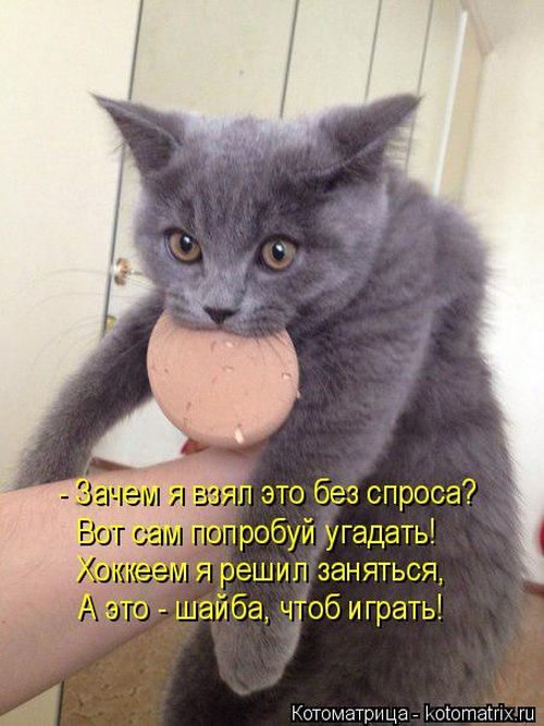 Хоккей 16-17 (КХЛ, НХЛ,Сборная России, Кубки, Женский,МХЛ)