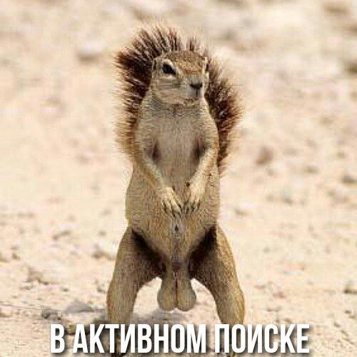 Подборка интересных и веселых картинок