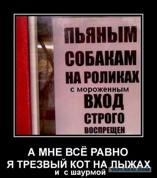 Картинки в черных рамках с подписями