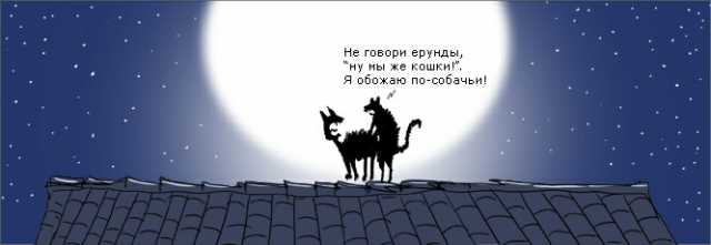 Кот Саймона и ухаживания