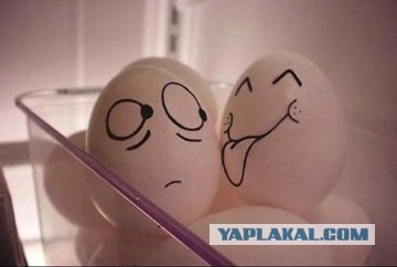 Что надо знать о «магазинных» яйцах