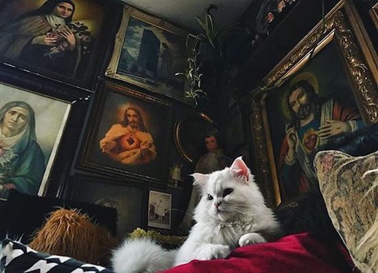 Всяко-разно в картинках