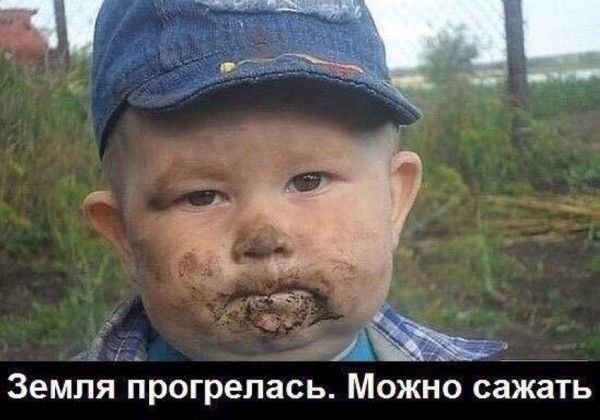 И еще немного картинок из этих наших интернетов