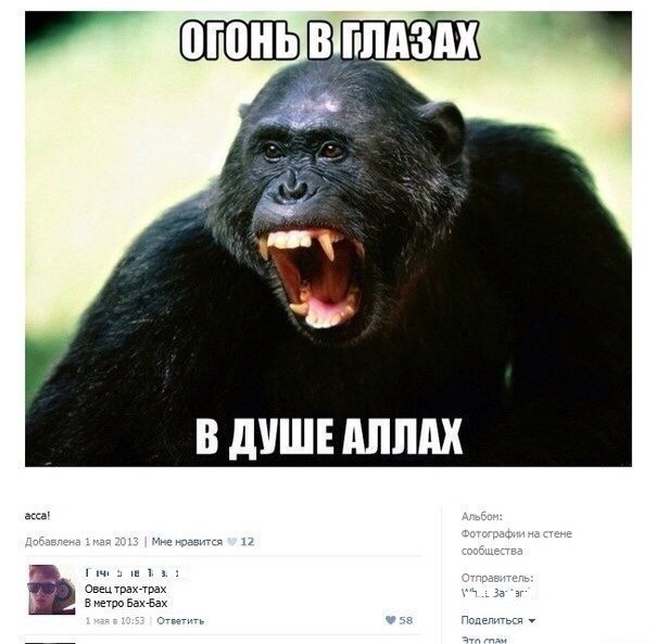 Смешные комментарии из социальных сетей