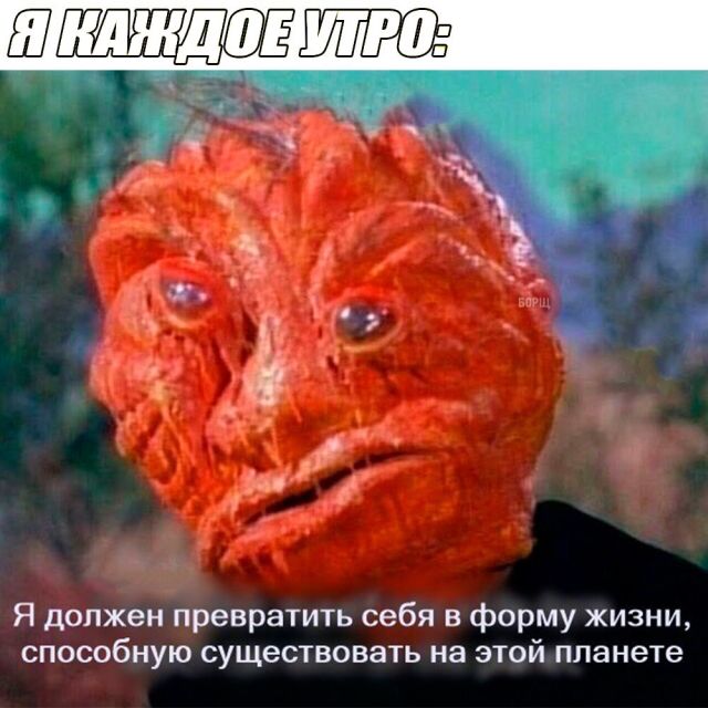Прикольные картинки обо всем