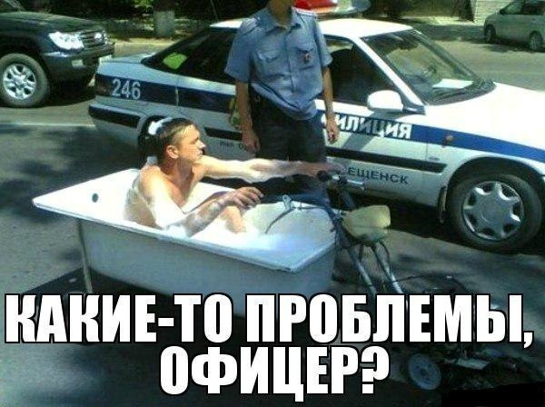 Прикольные картинки.