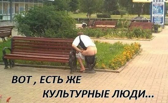 Анекдоты, соц-сети, истории и картинки с надписями