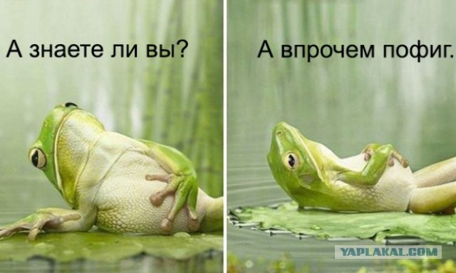 Про бензин из Казахстана