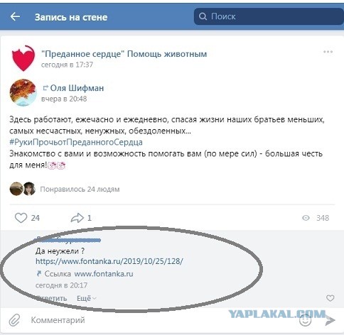 Помогите вернуть кота! Приют "Преданное сердце" украл кота и не отдает!