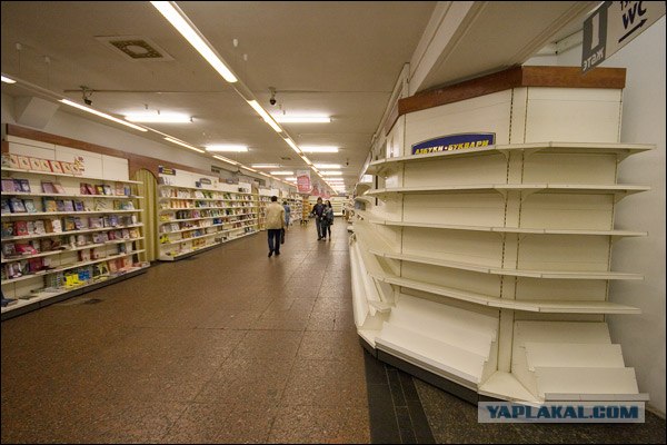 Детский мир. День последний.