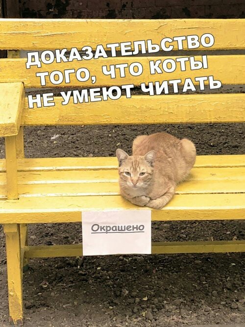 Прикольные картинки 09.02.20