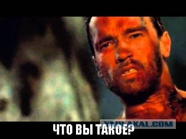 Бредзона 30.03.2020