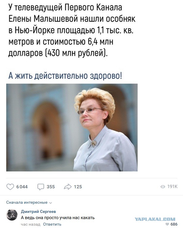 Американский дом Елены Малышевой