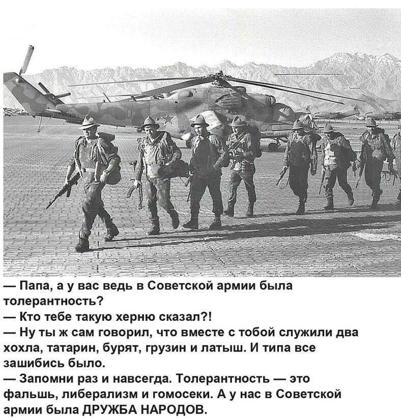 14343798.jpg