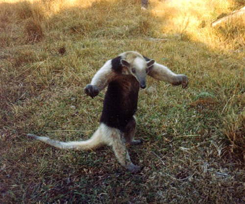 Вон с моей территории