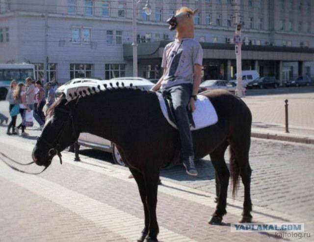 Россия изнутри