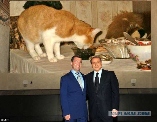 Фотожаба: А почему ИМ можно?!