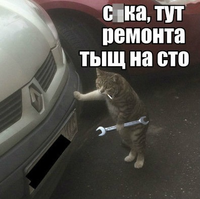 Маркиз, домой!