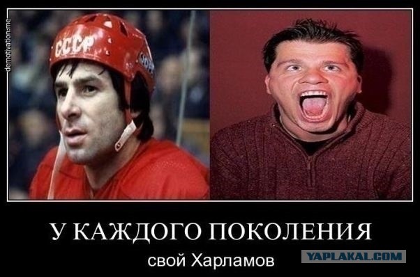 Моя подборка картинок для любимого сайта с любимого сайта