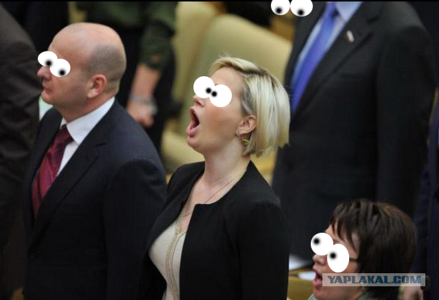 Фотожаба: Депутатка 80 lvl