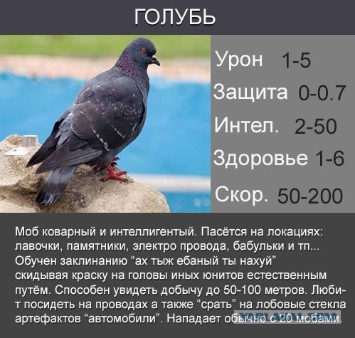 Фотожаба: Новая игра от российских разработчиков