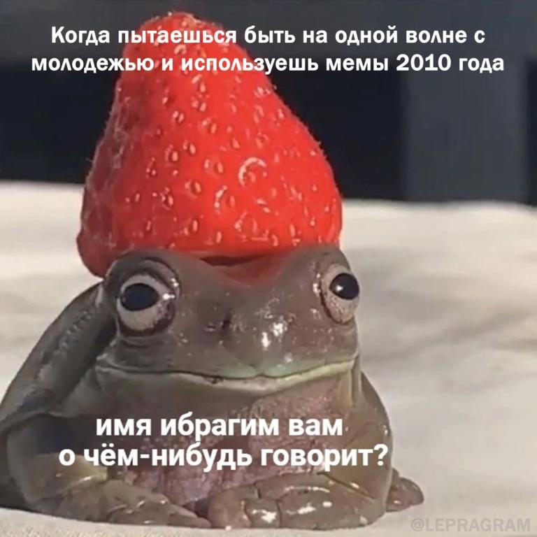 15131798.jpg