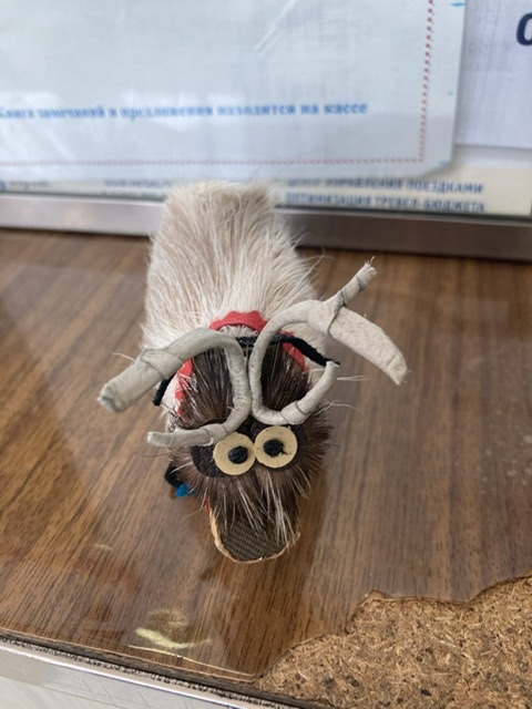 Женский Туалет. Мужчинам не входить!