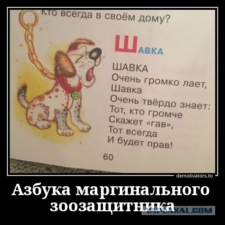 "Дети плакали, взрослые кричали": В Кировске на глазах у юных лыжников священник застрелил их любимицу - собаку Фросю