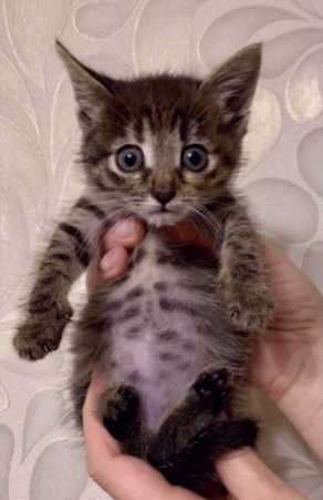 Картинки и мемы для настроения 04.08.2021