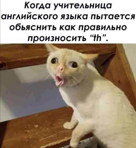 Картинки и мемы для настроения 09.06.2021