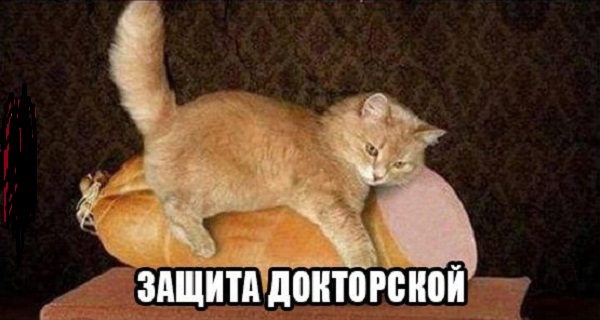 Картинки и мемы для настроения 13.12.2021