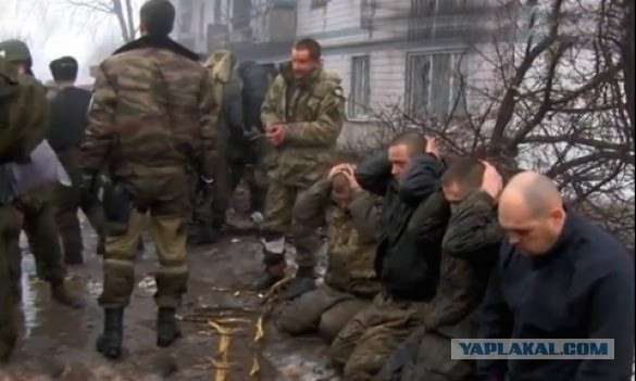Обращение спецназа ВСУ к Кадырову