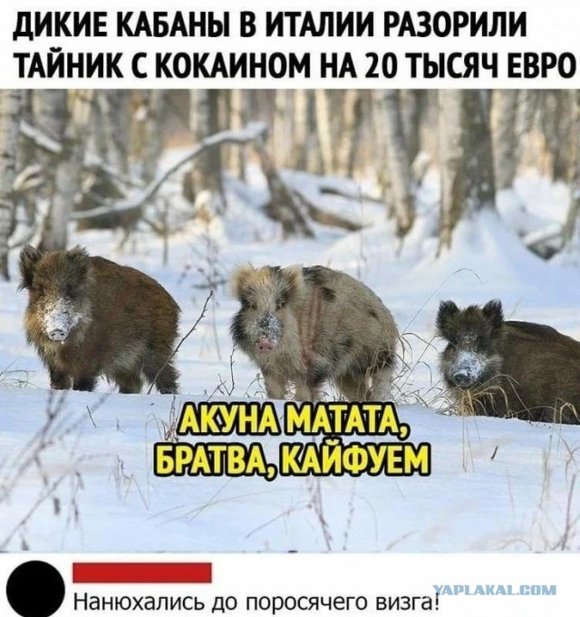Пятница. Вечер. Картинки всякие... #3